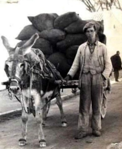 z. Labores agrícolas (15)